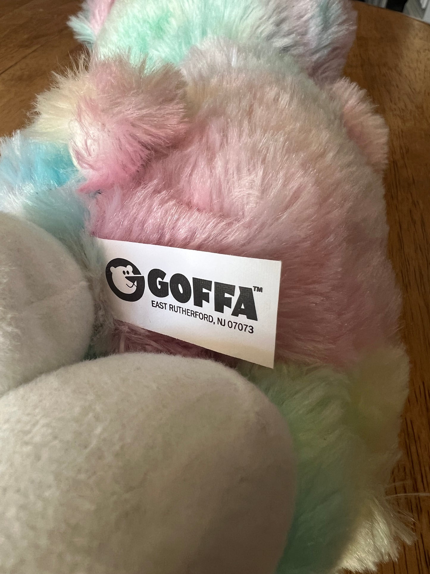 10" Praying Rainbow Bear