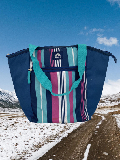 Igloo Insulated Tote Lunch Bag