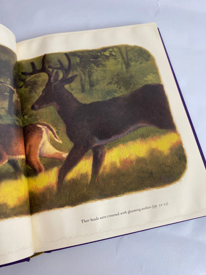 Bambi Illustrated Hardback Book