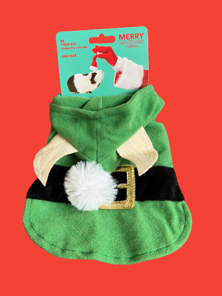 Guinea Pig Elf Costume