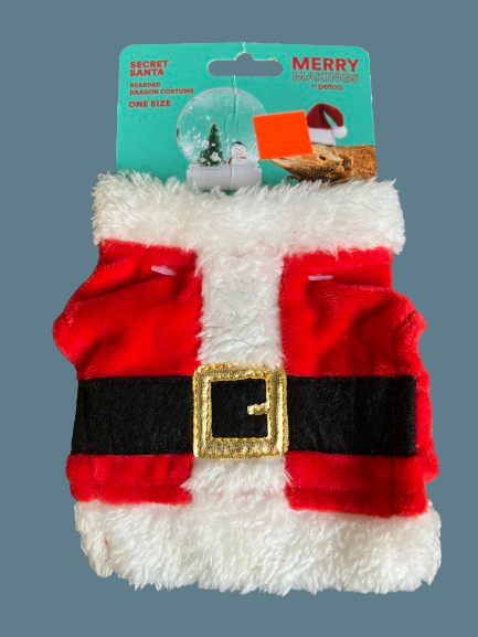 Bearded Dragon Santa Costume