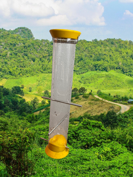 Droll Yankee Squirrel-Proof Bird Feeder ~ Yellow